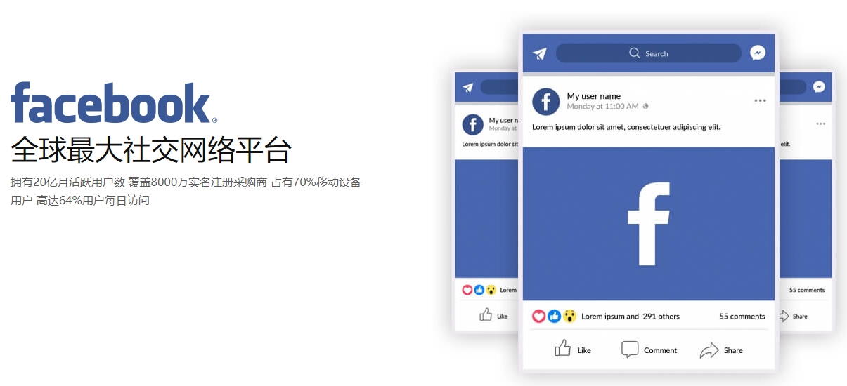 合肥海外社交媒体营销  第1张